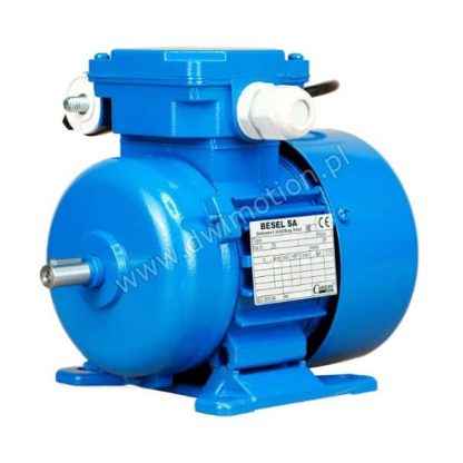 Silnik elektryczny 1 fazowy SEh63-4A 0,12kW 1400 obr. Besel