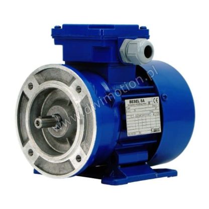 Silnik elektryczny 3 fazowy SLh63-2B1 0,25kW 2780 obr. Besel