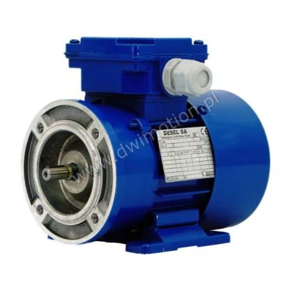 Silnik elektryczny 3 fazowy SLh56-6B1 0,06kW 860 obr. Besel