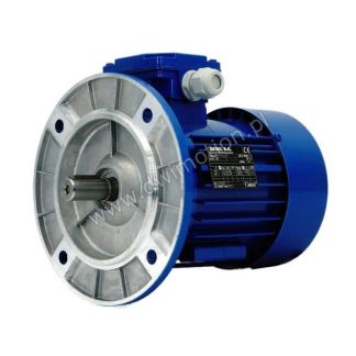 Silnik elektryczny 3 fazowy SKh80-4A 0,55kW 1380 obr. Besel