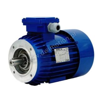 Silnik elektryczny 3 fazowy SKh80-6B2 0,55kW 900 obr. Besel