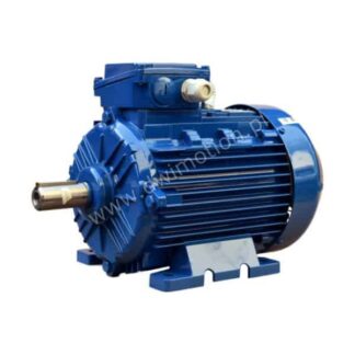 Silnik elektryczny 3 fazowy Sg100L8B 1,1kW 705 obr. Celma Indukta