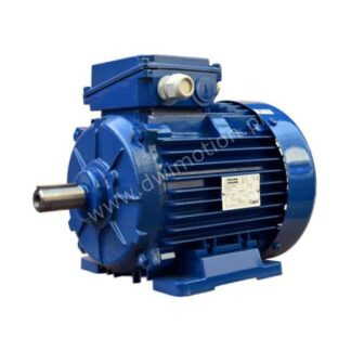 Silnik elektryczny 3 fazowy Sg112M2 4kW 2865 obr. Celma Indukta